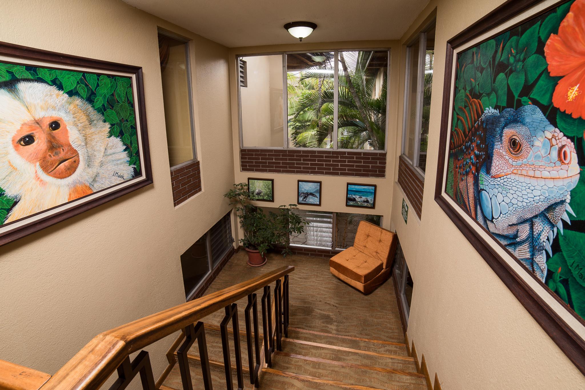 Hotel Villa Tournon San Jose  Ngoại thất bức ảnh
